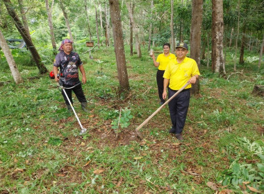 กิจกรรม​&quot;วันรักต้นไม้ประจำปีของชาติ&quot; พ.ศ. 2568 ... พารามิเตอร์รูปภาพ 2