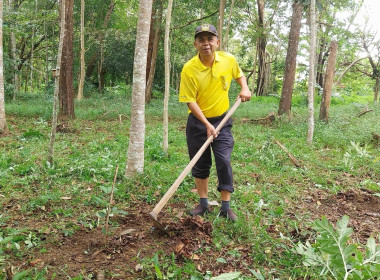 กิจกรรม​&quot;วันรักต้นไม้ประจำปีของชาติ&quot; พ.ศ. 2568 ... พารามิเตอร์รูปภาพ 3