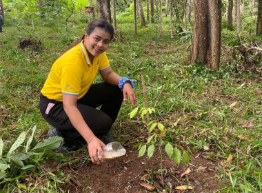 กิจกรรม​&quot;วันรักต้นไม้ประจำปีของชาติ&quot; พ.ศ. 2568 ... พารามิเตอร์รูปภาพ 4