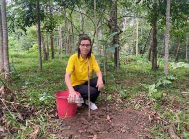 กิจกรรม​&quot;วันรักต้นไม้ประจำปีของชาติ&quot; พ.ศ. 2568 ... พารามิเตอร์รูปภาพ 5