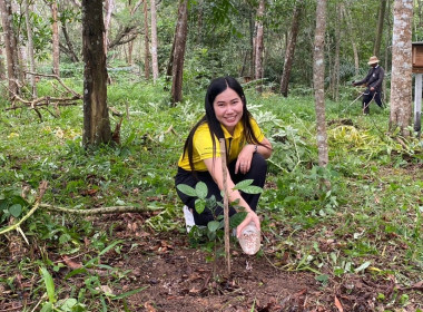 กิจกรรม​&quot;วันรักต้นไม้ประจำปีของชาติ&quot; พ.ศ. 2568 ... พารามิเตอร์รูปภาพ 6