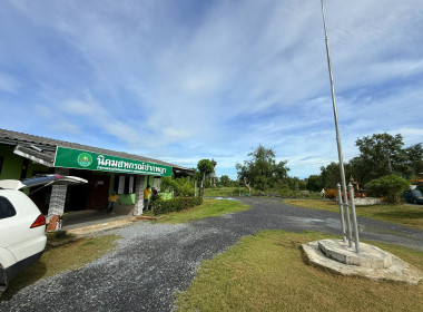 กิจกรรมวันรักต้นไม้ประจำปีของชาติ พ.ศ. 2568 ... พารามิเตอร์รูปภาพ 9