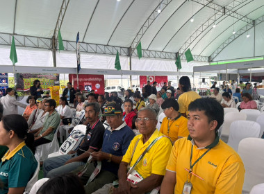 กิจกรรมงานธงเขียวราคาประหยัด “ปุ๋ยถูก ยาดี ต้องที่ธงเขียว” ... พารามิเตอร์รูปภาพ 11