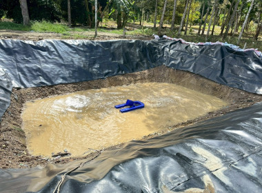 ลงพื้นที่ร่วมกับสหกรณ์กองทุนสวนยางหลายแห่ง ได้แก่ ... พารามิเตอร์รูปภาพ 7