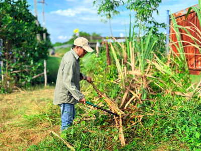 กิจกรรมพัฒนาและปรับปรุงที่สาธารณะ ... พารามิเตอร์รูปภาพ 1