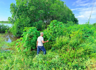 กิจกรรมพัฒนาและปรับปรุงที่สาธารณะ ... พารามิเตอร์รูปภาพ 2