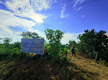 กิจกรรมพัฒนาและปรับปรุงที่สาธารณะ ... พารามิเตอร์รูปภาพ 3