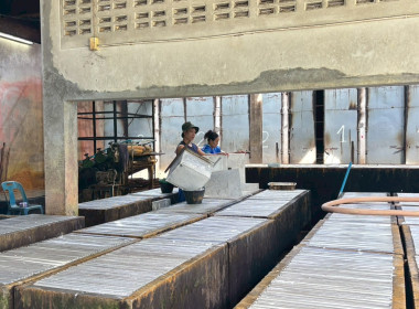 แนะนำส่งเสริมการดำเนินงานเกษตรแบบแปลงใหญ่ยางพาราในสหกรณ์ ... พารามิเตอร์รูปภาพ 7