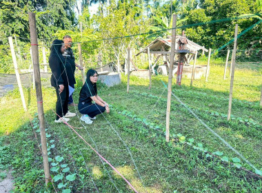 ลงพื้นที่ติดตาม เป็นกำลังใจ ให้กับสมาชิกต้นแบบที่เข้าร่วม ... พารามิเตอร์รูปภาพ 9