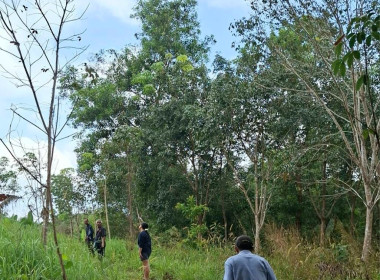 ลงพื้นที่ระวังชี้แนวเขตและลงชื่อรับรองแนวเขตที่ดิน ... พารามิเตอร์รูปภาพ 3