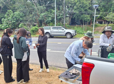 ลงพื้นที่ระวังชี้แนวเขตและลงชื่อรับรองแนวเขตที่ดิน ... พารามิเตอร์รูปภาพ 6