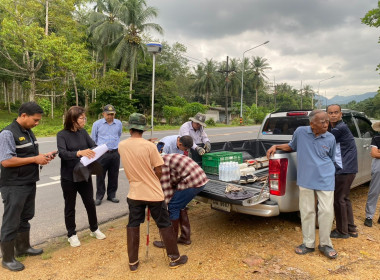 ลงพื้นที่ระวังชี้แนวเขตและลงชื่อรับรองแนวเขตที่ดิน ... พารามิเตอร์รูปภาพ 7