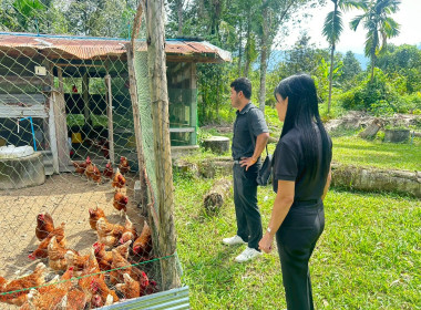 ติดตามโครงการ แก้ไขปัญหาหนี้ ... พารามิเตอร์รูปภาพ 2