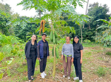 ติดตามโครงการ แก้ไขปัญหาหนี้ ... พารามิเตอร์รูปภาพ 3