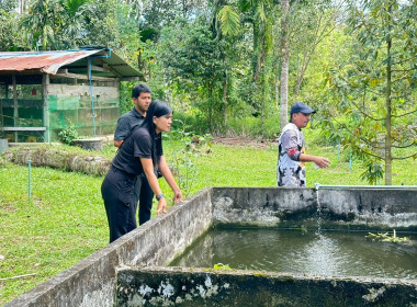 ติดตามโครงการ แก้ไขปัญหาหนี้ ... พารามิเตอร์รูปภาพ 4