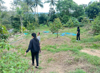 ติดตามโครงการ แก้ไขปัญหาหนี้ ... พารามิเตอร์รูปภาพ 8