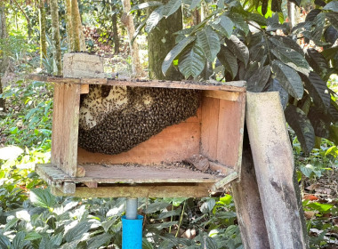 ติดตาม สมาชิกที่น้อมนำ ... พารามิเตอร์รูปภาพ 4