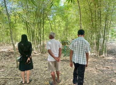 ติดตาม สมาชิกที่น้อมนำ ... พารามิเตอร์รูปภาพ 5