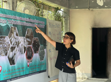 โครงการส่งเสริมและพัฒนาอาชีพเพื่อแก้ไขปัญหาที่ดินทำกินของเกษตรกร หลักสูตร “การส่งเสริมพัฒนาอาชีพและการตลาดที่เหมาะสมกับพื้นที่” รุ่นที่ 2 ระหว่างวันที่ 20 - 21 มกราคม 2569 เป้าหมายเกษตรกรในพื้นที่ป่าชายเลนอำเภอเมืองและอำเภอปากพนัง จำนวน 12 ราย เพื่อส่งเส ... พารามิเตอร์รูปภาพ 2