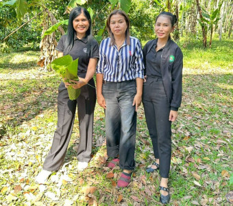 ติดตามสมาชิก ... พารามิเตอร์รูปภาพ 1