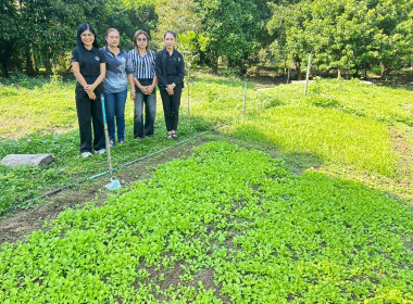 ติดตามสมาชิก ... พารามิเตอร์รูปภาพ 2