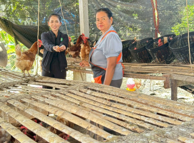 ติดตามสมาชิก ... พารามิเตอร์รูปภาพ 3