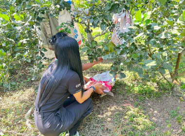 ติดตามสมาชิก ... พารามิเตอร์รูปภาพ 4