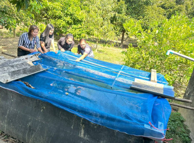 ติดตามสมาชิก ... พารามิเตอร์รูปภาพ 7