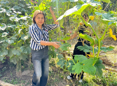 ติดตามสมาชิก ... พารามิเตอร์รูปภาพ 8