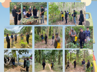 ลงพื้นที่สำรวจวงรอบรายแปลง พื้นที่โรงเรียนวัดนิคมคีรี ... พารามิเตอร์รูปภาพ 9