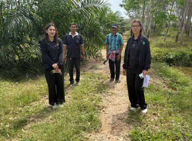 ลงพื้นที่สำรวจวงรอบรายแปลง พื้นที่สงวนเพื่อกิจการนิคม ... พารามิเตอร์รูปภาพ 3