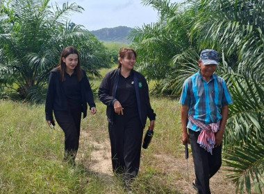 ลงพื้นที่สำรวจวงรอบรายแปลง พื้นที่สงวนเพื่อกิจการนิคม ... พารามิเตอร์รูปภาพ 4