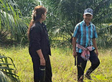 ลงพื้นที่สำรวจวงรอบรายแปลง พื้นที่สงวนเพื่อกิจการนิคม ... พารามิเตอร์รูปภาพ 5