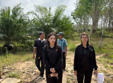 ลงพื้นที่สำรวจวงรอบรายแปลง พื้นที่สงวนเพื่อกิจการนิคม ... พารามิเตอร์รูปภาพ 6