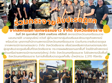 กระจายสับปะรดภูแล จากสหกรณ์การเกษตรแม่ยาว จำกัด ... พารามิเตอร์รูปภาพ 1