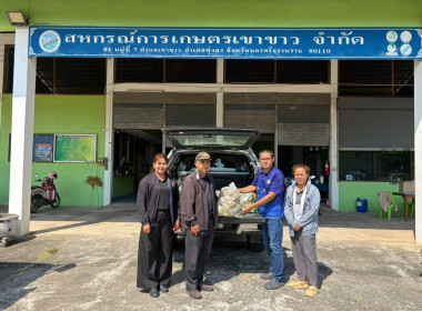 กระจายสับปะรดภูแล จากสหกรณ์การเกษตรแม่ยาว จำกัด ... พารามิเตอร์รูปภาพ 18