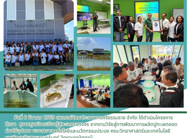 โครงการศึกษา ดูงานศูนย์การเรียนรู้ปูทะเลครบวงจร ... พารามิเตอร์รูปภาพ 1