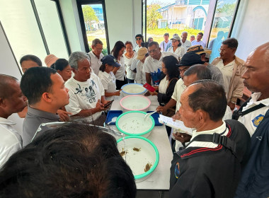 โครงการศึกษา ดูงานศูนย์การเรียนรู้ปูทะเลครบวงจร ... พารามิเตอร์รูปภาพ 3