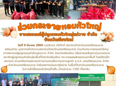 ร่วมกันกระจายหอมหัวใหญ่ จากสหกรณ์ผู้ปลูกหอมหัวใหญ่แม่วาง ... พารามิเตอร์รูปภาพ 1