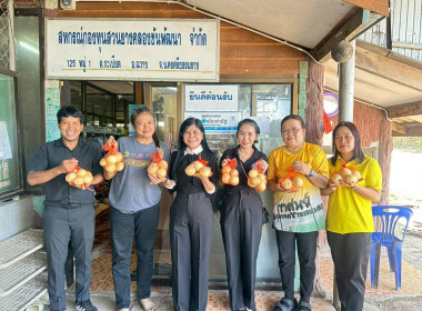 ร่วมกันกระจายหอมหัวใหญ่ จากสหกรณ์ผู้ปลูกหอมหัวใหญ่แม่วาง ... พารามิเตอร์รูปภาพ 16