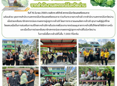 ร่วมกันกระจายกะหล่ำปลี จากสำนักงานสหกรณ์จังหวัดน่าน ... พารามิเตอร์รูปภาพ 9