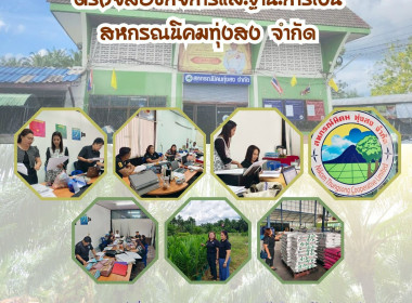 ตรวจสอบกิจการและฐานะการเงินของสหกรณ์นิคมทุ่งสง จำกัด ... พารามิเตอร์รูปภาพ 2