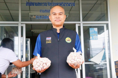 รับมอบ "กระเทียมลอน" จากสหกรณ์การเกษตรแม่สะเรียง จำกัด ... พารามิเตอร์รูปภาพ 1