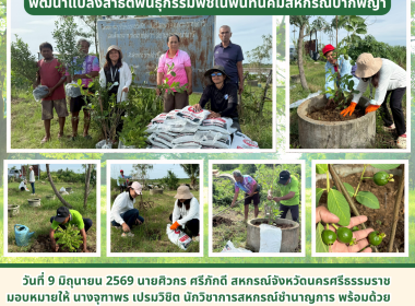 โครงการอนุรักษ์พันธุกรรมพืชอันเนื่องมาจากพระราชดำริ ... พารามิเตอร์รูปภาพ 1