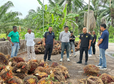ลงพื้นที่ติดตามการดำเนินงานของสหกรณ์ในพื้นที่อำเภอทุ่งสงและอำเภอทุ่งใหญ่ จังหวัดนครศรีธรรมราช ในการลงพื้นที่ครั้งนี้ ได้ติดตามการใช้อุปกรณ์การตลาดที่สหกรณ์ได้รับการสนับสนุนจากกรมส่งเสริมสหกรณ์ เพื่อให้เกิดประโยชน์สูงสุดต่อการดำเนินธุรกิจของสหกรณ์ รวมทั้ง ... พารามิเตอร์รูปภาพ 3