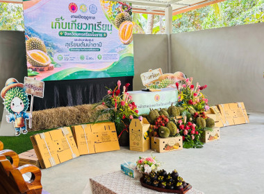 งาน “เปิดฤดูกาลเก็บเกี่ยวทุเรียนจังหวัดนครศรีธรรมราช ... พารามิเตอร์รูปภาพ 7