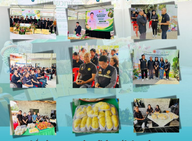 งาน “เปิดฤดูกาลเก็บเกี่ยวทุเรียนจังหวัดนครศรีธรรมราช ... พารามิเตอร์รูปภาพ 10