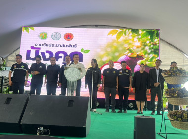 งานวันประชาสัมพันธ์มังคุดนครศรีธรรมราช ... พารามิเตอร์รูปภาพ 7