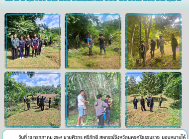 ลงพื้นที่ระวังชี้แนวเขตที่ดิน ... พารามิเตอร์รูปภาพ 6