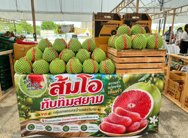 งานแสดงและจำหน่ายสินค้าผลไม้ “Thailand : The Land of ... พารามิเตอร์รูปภาพ 9